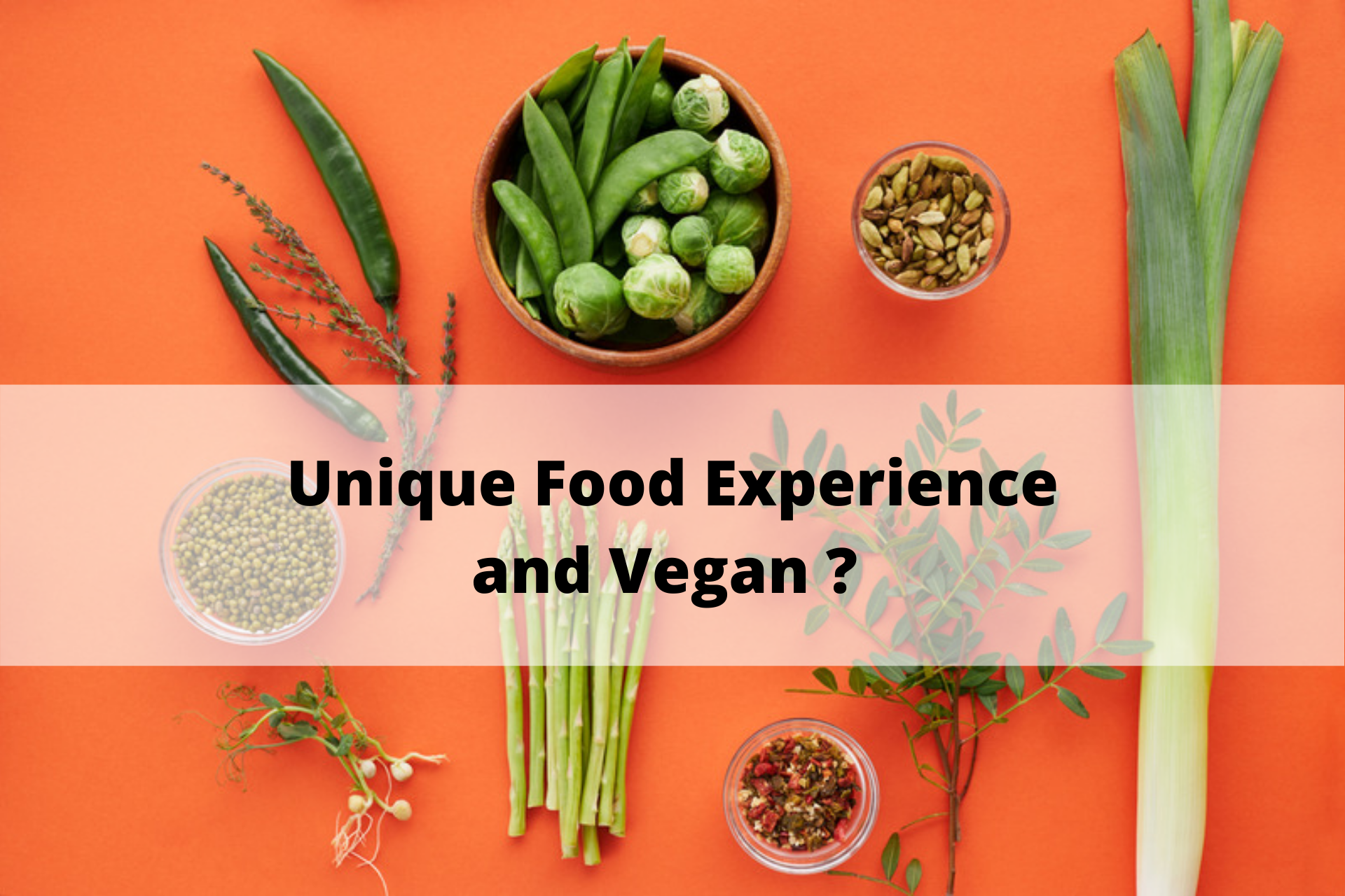 Unique Food Experience and Vegan ?  Veganster got you!!!