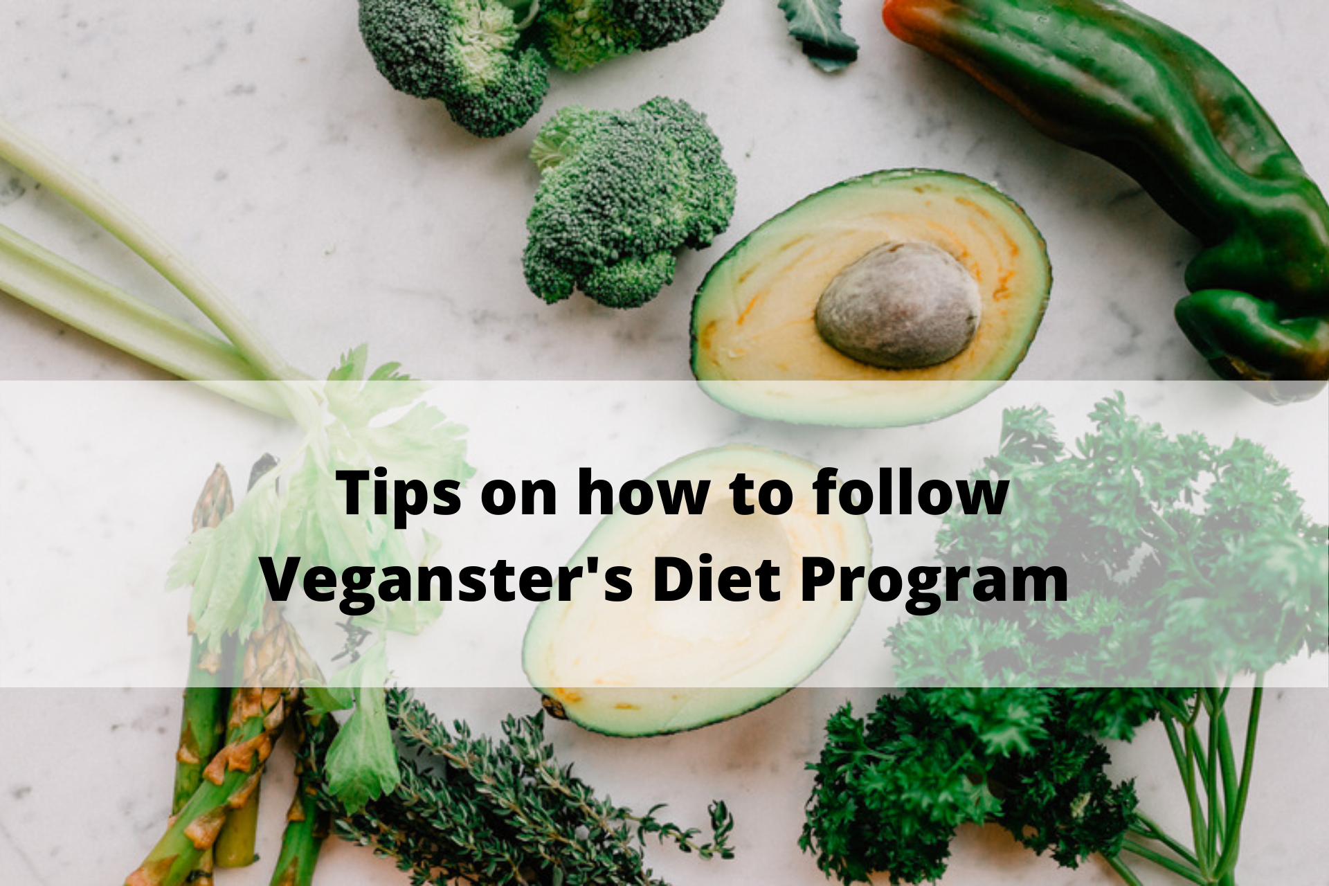 Tips on how to follow Veganster’s Diet Program